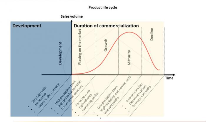 Product life cycle